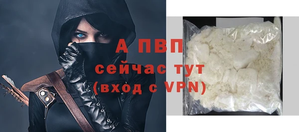 крисы Богородицк