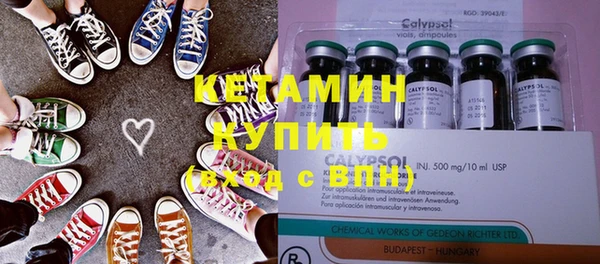 крисы Богородицк
