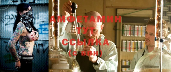 крисы Богородицк